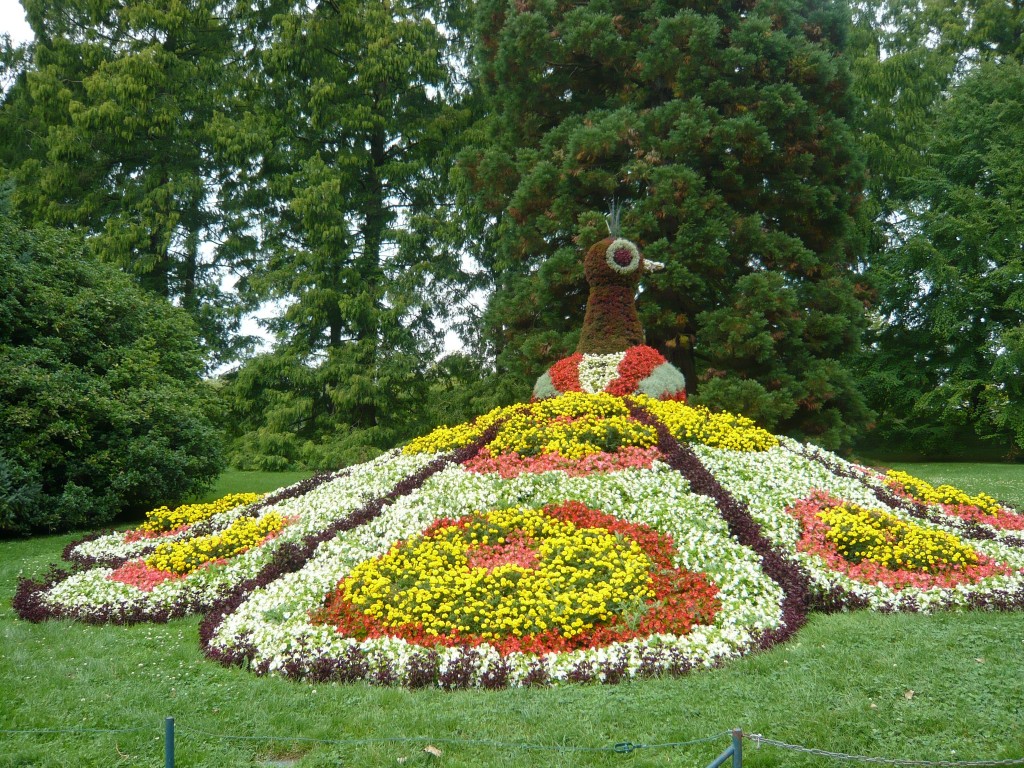 Fewo Lindau die Trauminsel Lindau Insel Bodensee